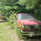 Image for article titled A Michigan Town Is Forcing This Man To Sell 20 Old Cars Off His Property Every Month